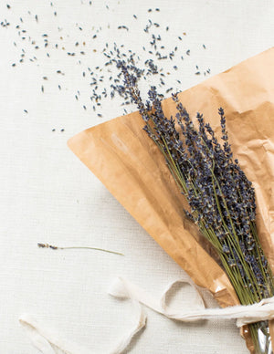A bundle of dried lavender stems wrapped in brown paper, secured with a white ribbon, lies on a light-colored surface with scattered lavender seeds.